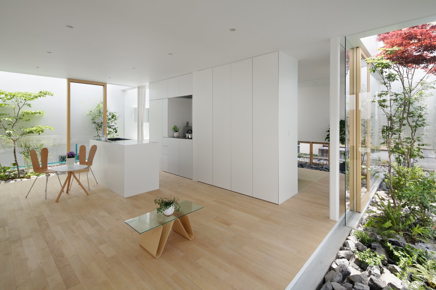 green edge house features a sheltered courtyard garden green edge house features a sheltered courtyard garden
