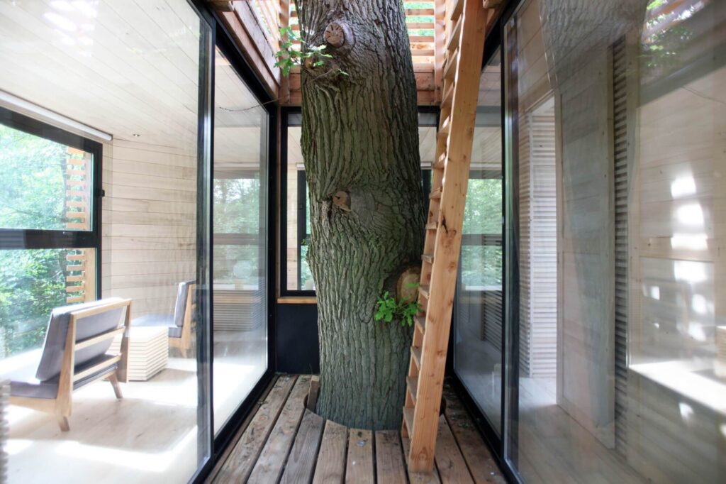 ORIGIN-Tree-House-Atelier-LAVIT-France